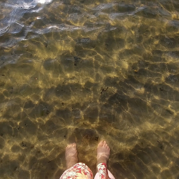 Meet your Posher, Clover - Picture 3 of 8